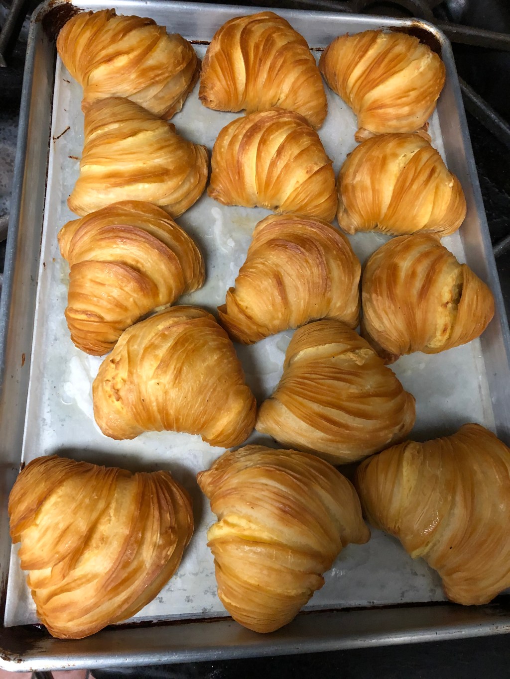 NEAPOLITAL SFOGLIATELLA