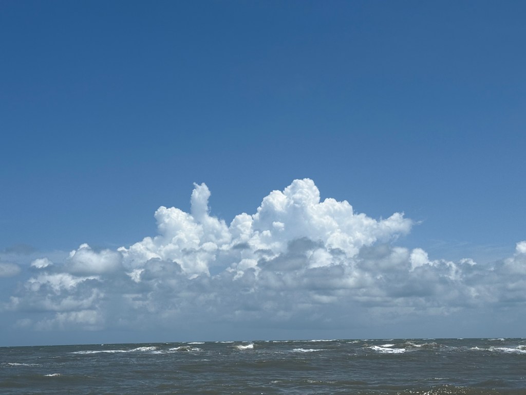 SHRIMP and CRAB&nbsp;E’TOUFFE’E