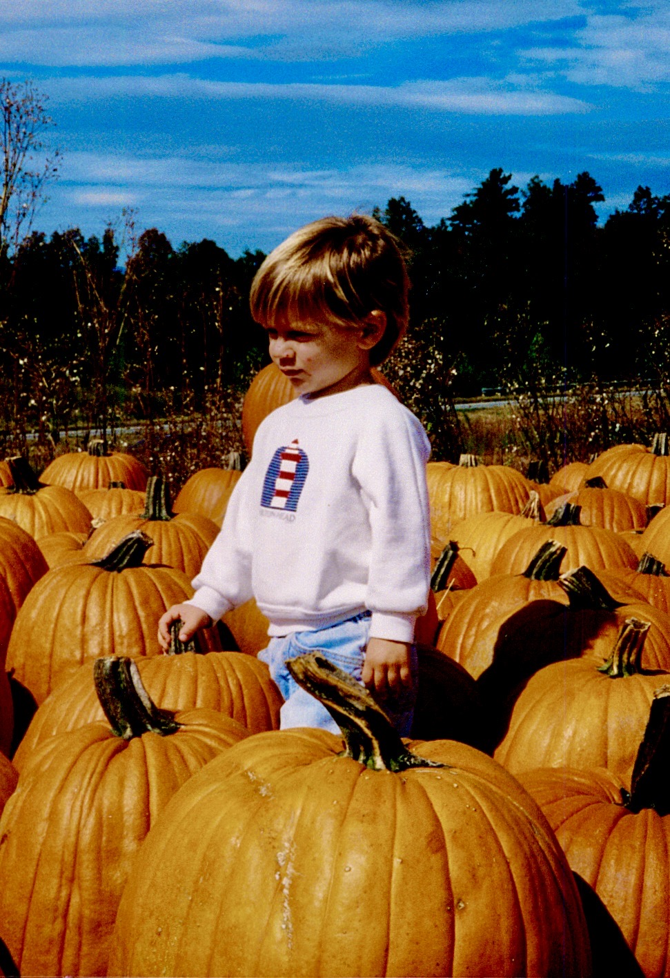 THANKSGIVING THOUGHTS, AND TWO GOOD&nbsp;RECIPES