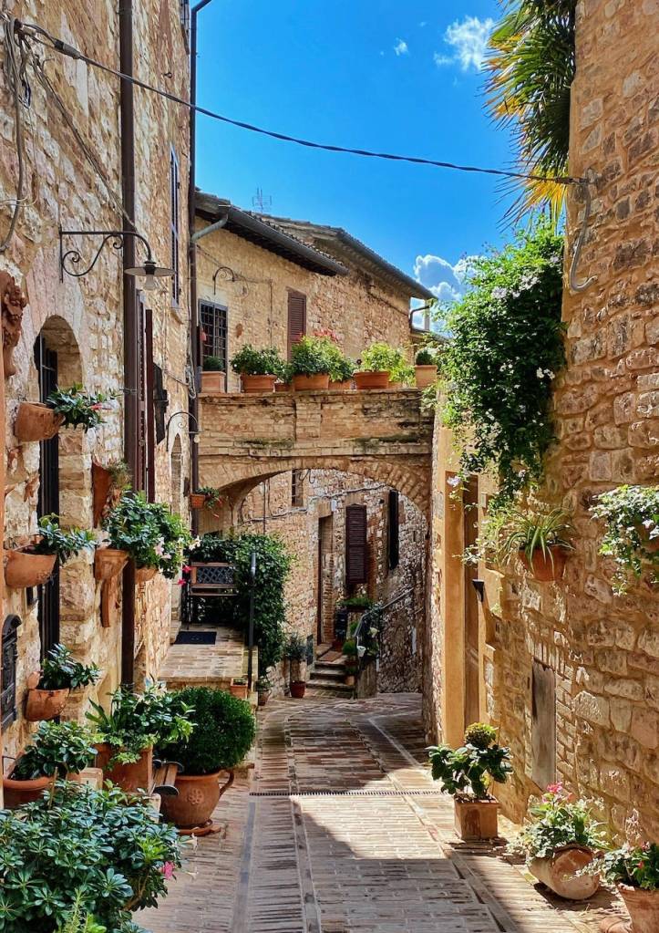 SALTED COD AND FRIED PEPPERS – Ancora