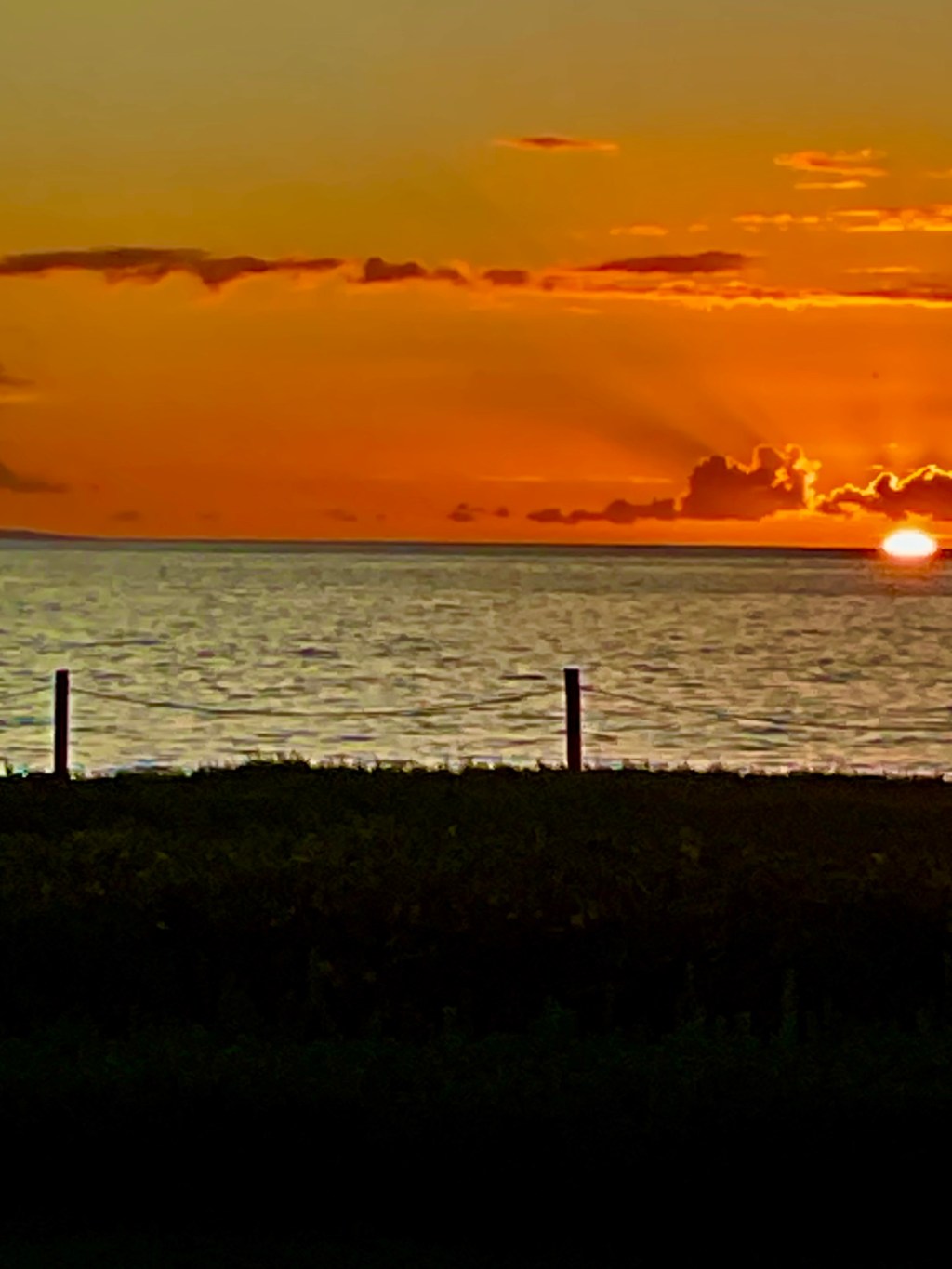 TROPICAL SPINACH SALAD